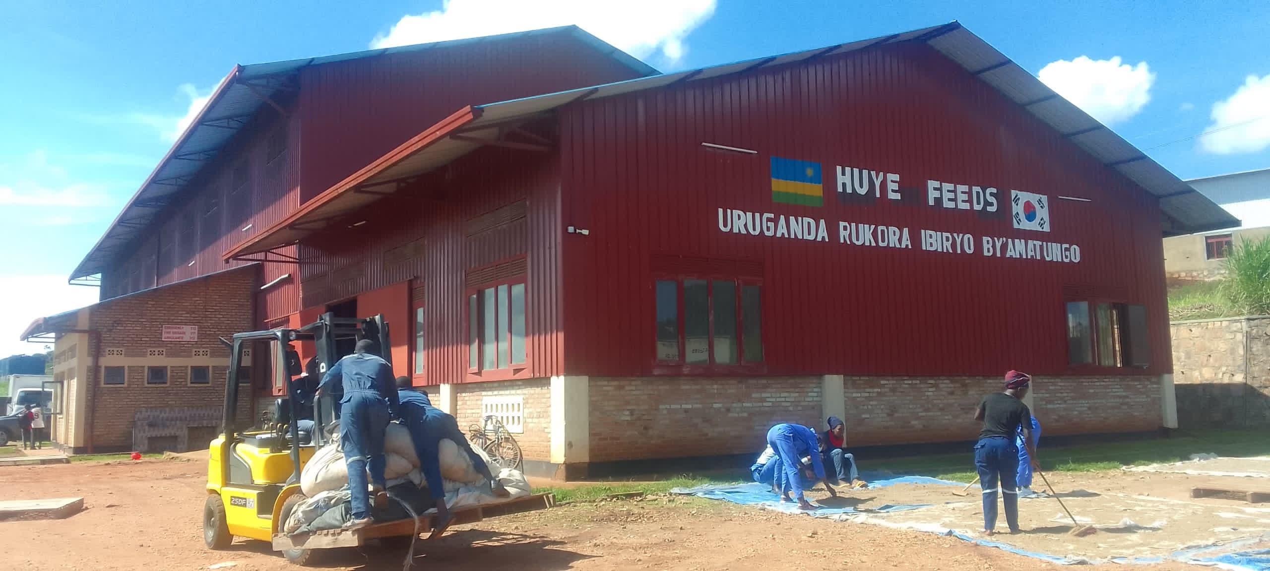 Premium Animal Feeds for Superior Results